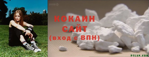 прущая мука Горняк