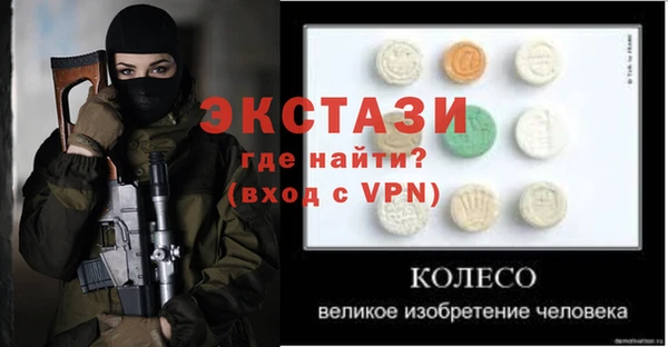 индика Снежногорск