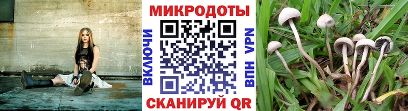 Псилоцибиновые грибы мухоморы  продажа наркотиков  маркетплейс состав  Джанкой 
